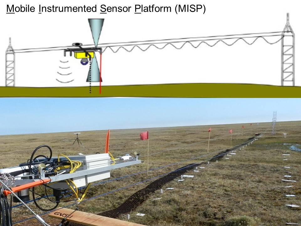 photograph and cartoon of the MISP